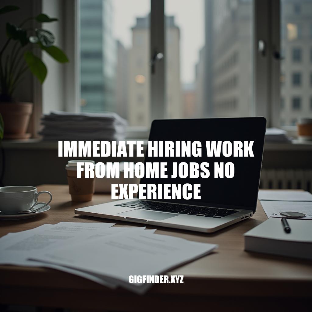 Immediate Hiring Work from Home Jobs: No Experience Required